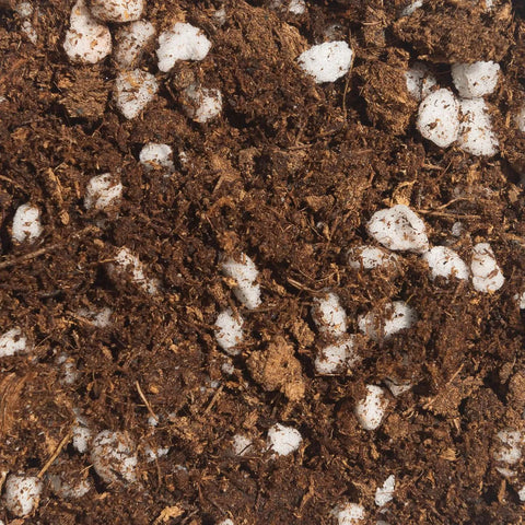 Soil